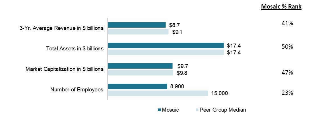 mosaicpeergroupmediana01.jpg